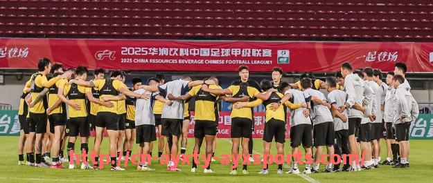 爱游戏体育-意甲身价最高的球队排名及明星球员介绍