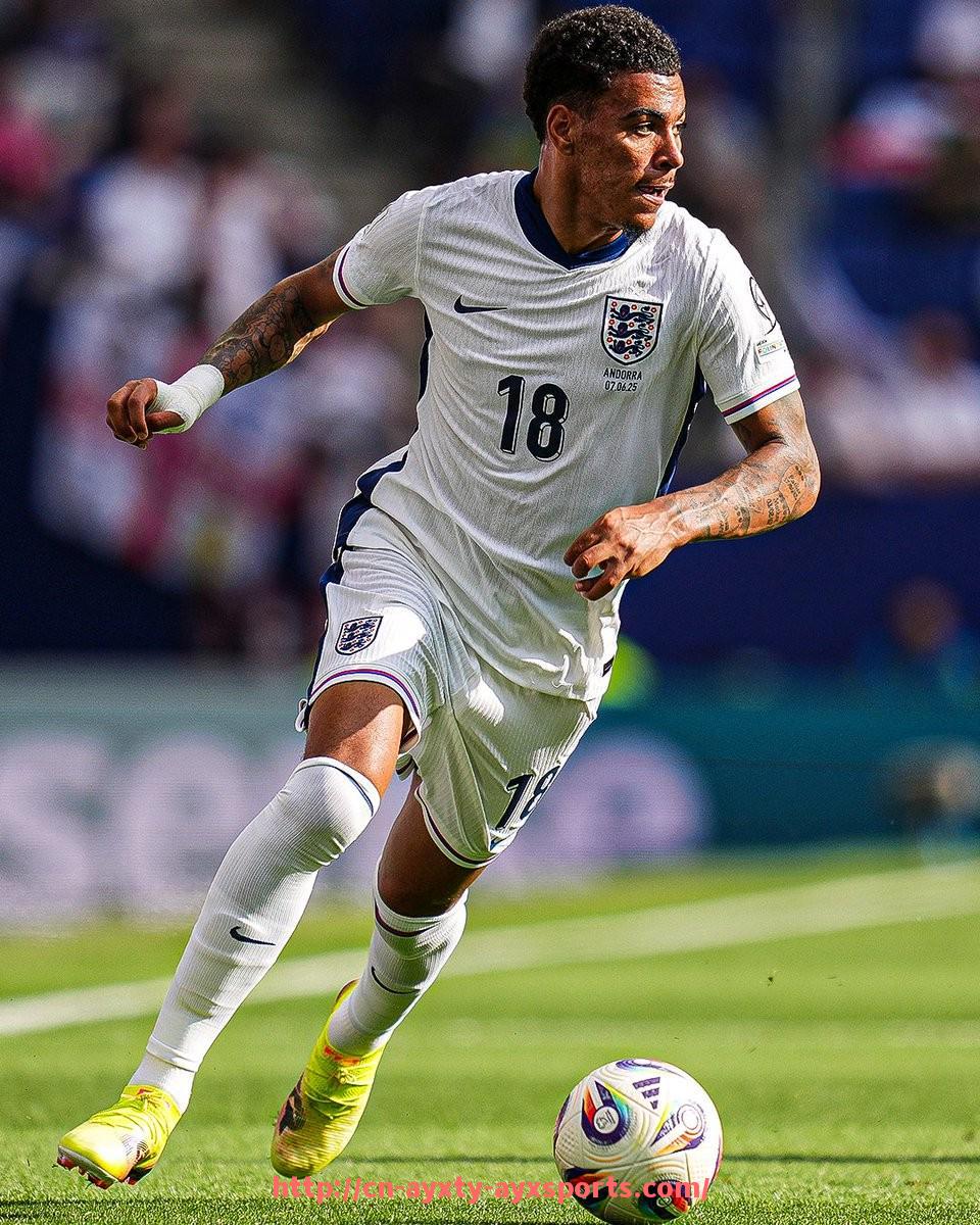 爱游戏体育-意甲黄牌累计几场球队规则详解与球队受影响统计