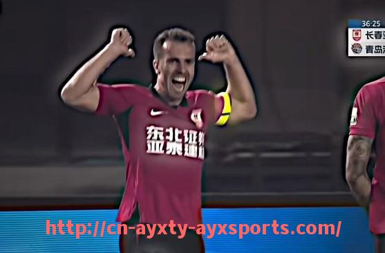 爱游戏体育-意甲各大足球俱乐部的球迷数量与支持者分布