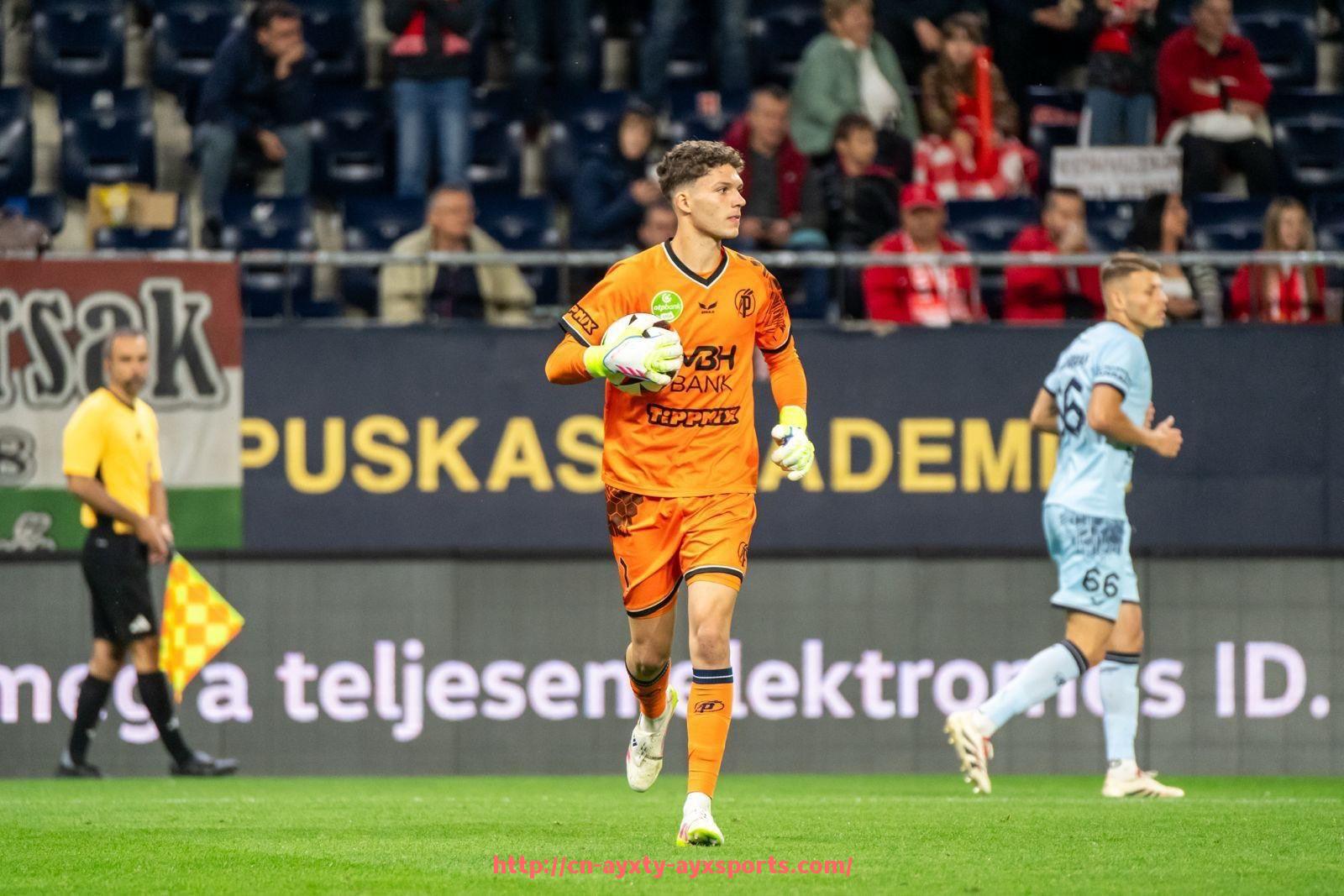 爱游戏体育-2024-2025赛季法甲球员年龄结构及队伍配置研究