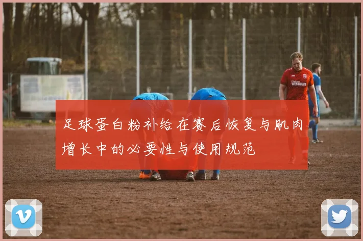 足球蛋白粉补给在赛后恢复与肌肉增长中的必要性与使用规范
